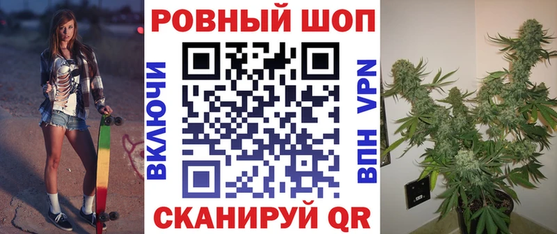 Галлюциногенные грибы Навашино