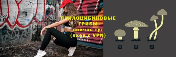 a pvp Алексеевка
