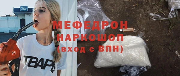 сатива Новодвинск
