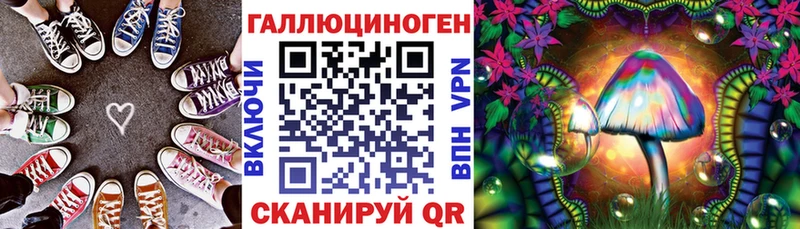 где купить наркоту  Навашино  Псилоцибиновые грибы Psilocybine cubensis 